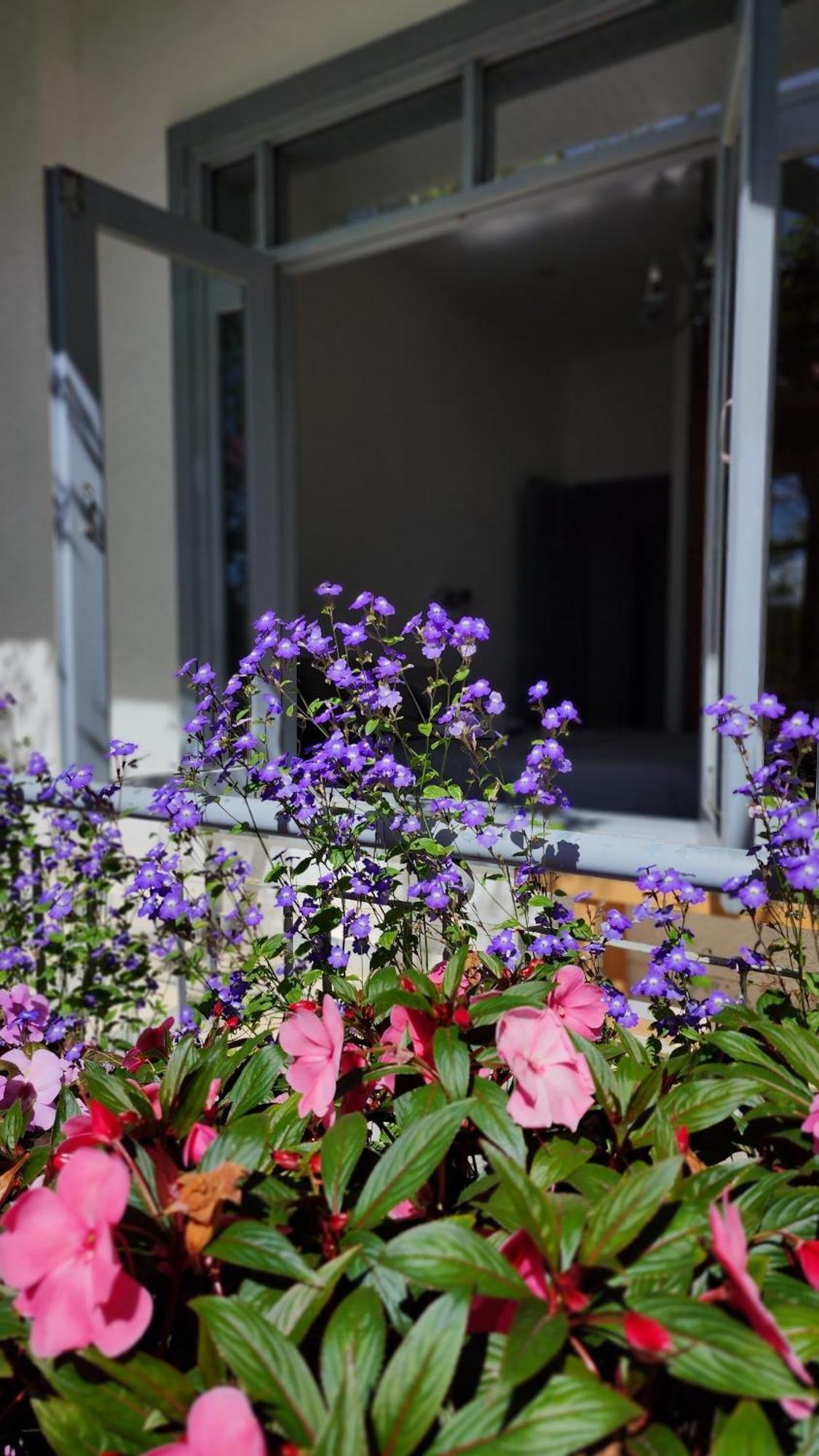 Tia Du Villa Homestay Dalat Exterior foto